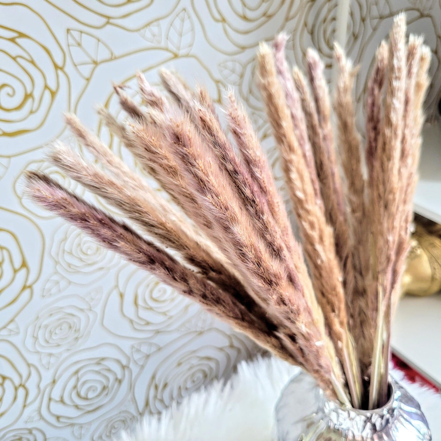 Natural Dried Pampas Grass