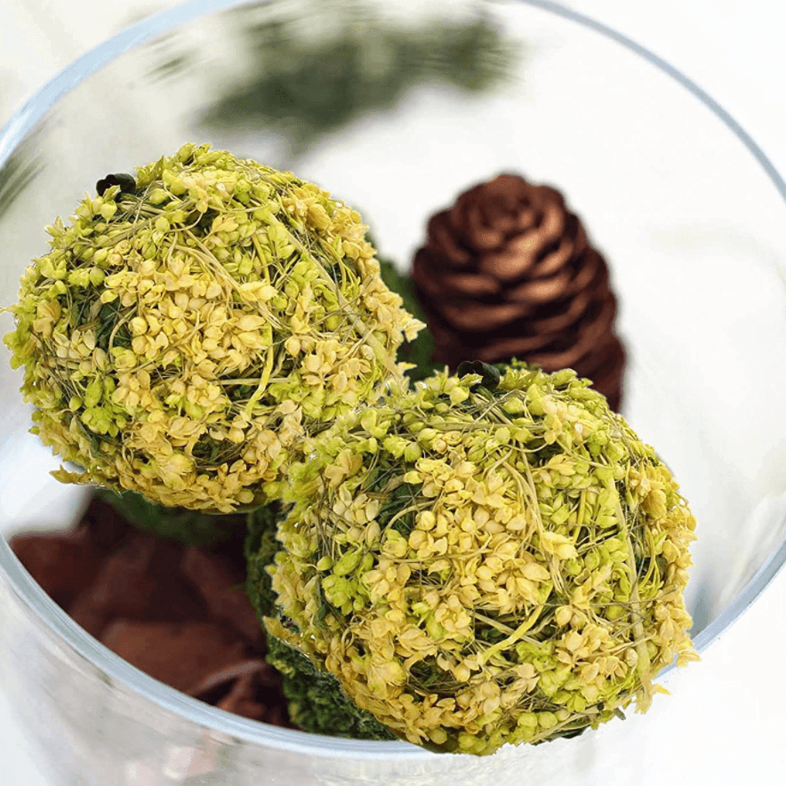Natural Preserved Moss Balls - Pack of 6 - MAIA HOMES