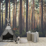 Peace in Pine Forest Wall Mural