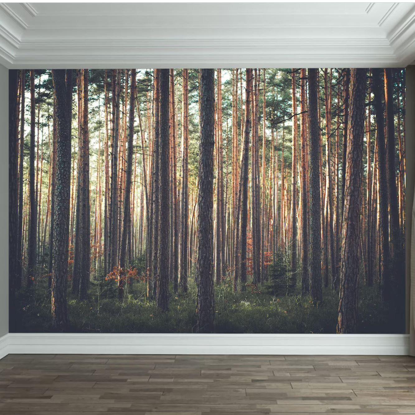 Peace in Pine Forest Wall Mural - MAIA HOMES