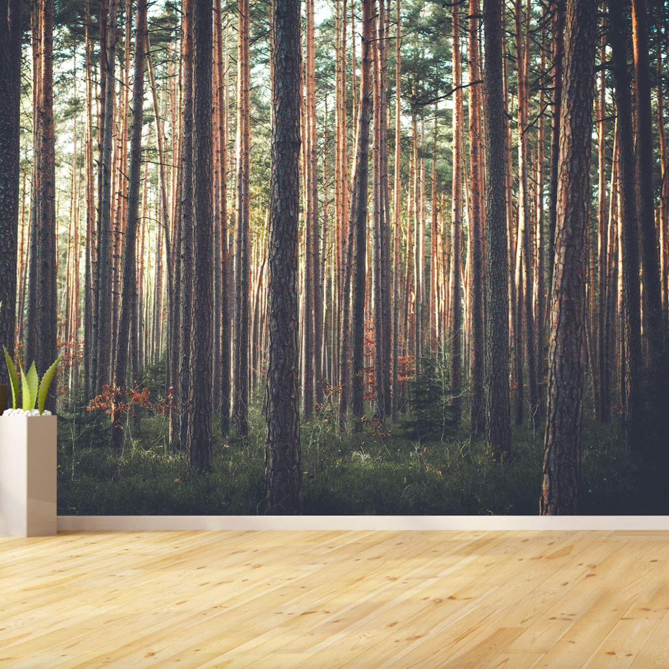 Peace in Pine Forest Wall Mural - MAIA HOMES