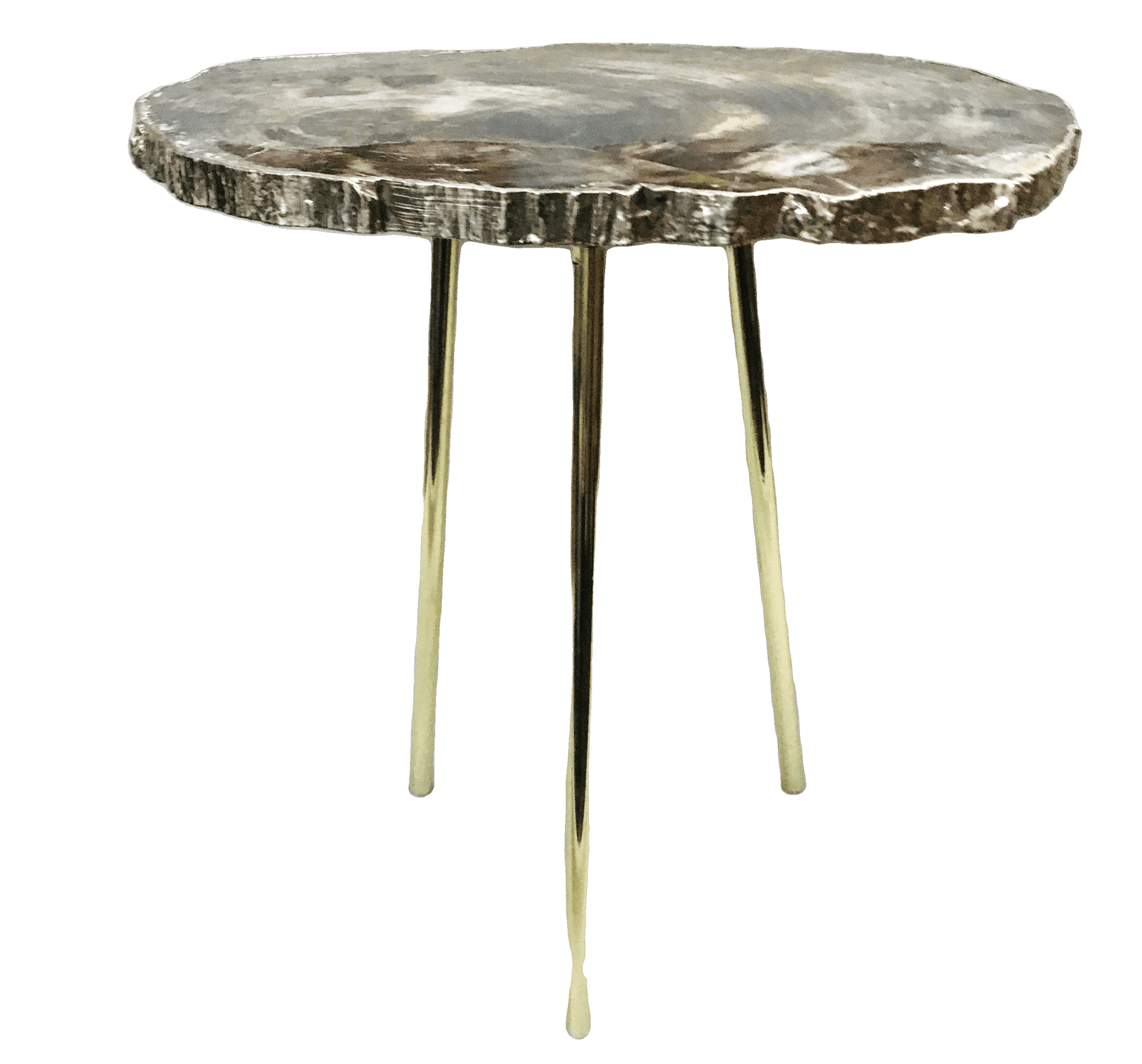 Petrified Wood Agate Quartz Organic Edge Accent Table Silver