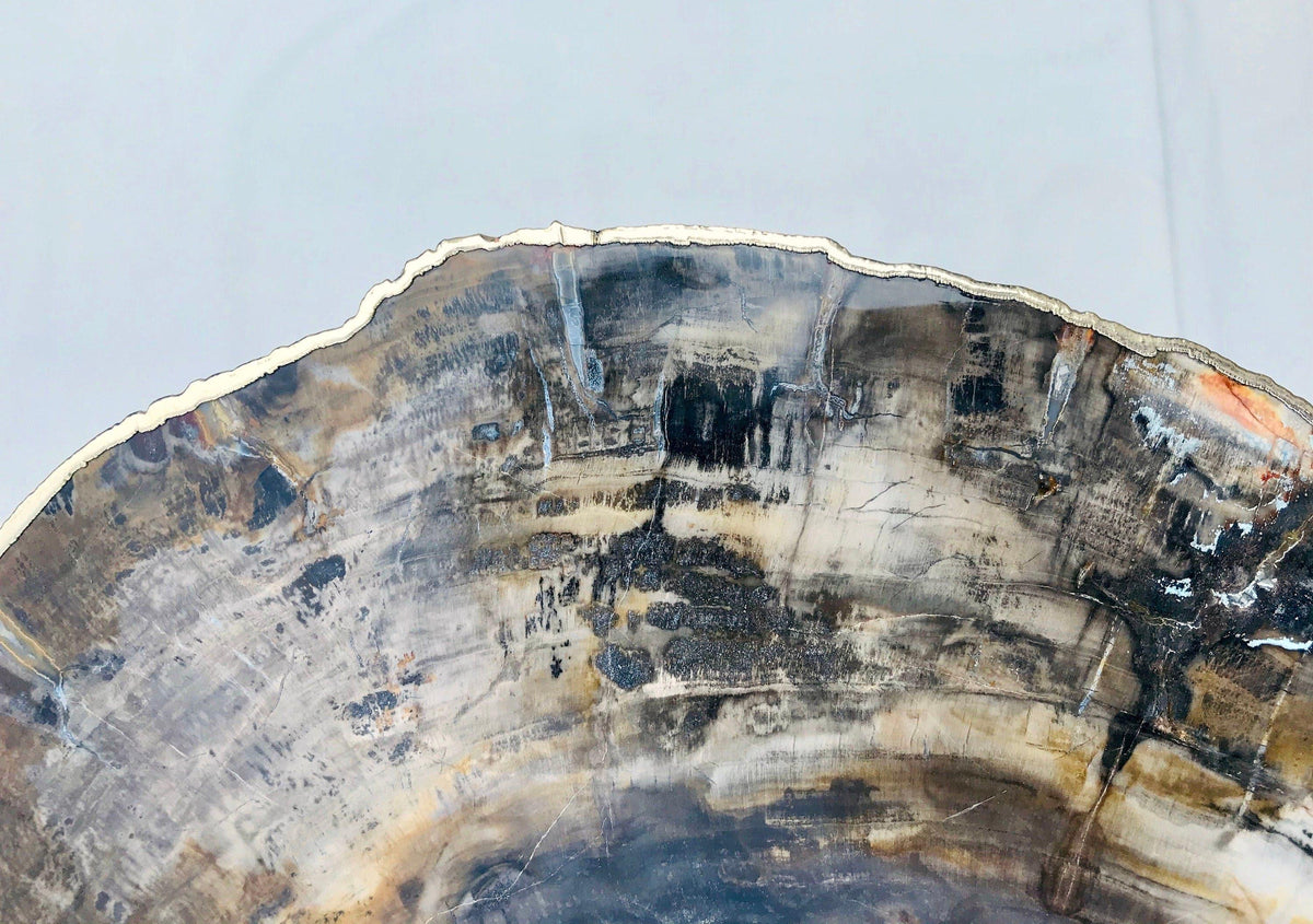 Petrified Wood Agate Quartz Organic Edge Accent Table