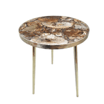 Petrified Wood Agate Round Edge Side Coffee Table