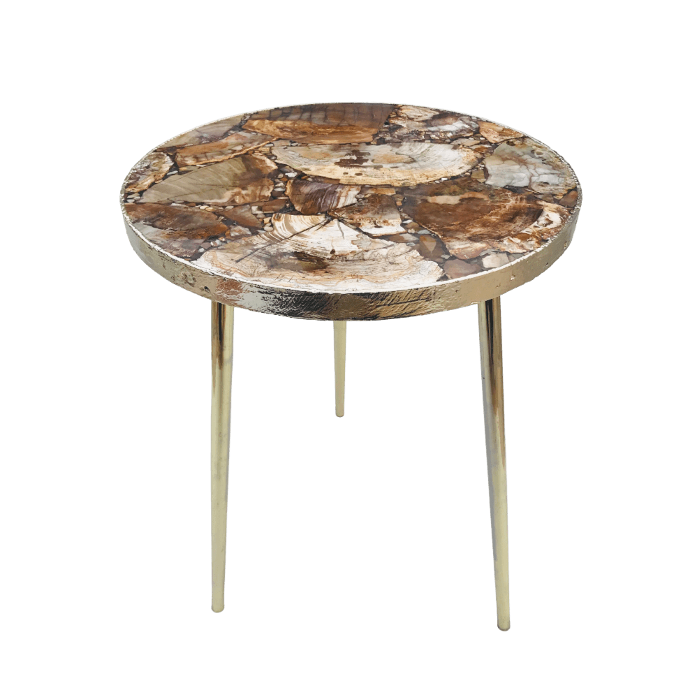 Petrified Wood Agate Round Edge Side Coffee Table