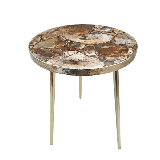 Petrified Wood Agate Round Edge Side Coffee Table - MAIA HOMES