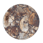 Petrified Wood Agate Round Edge Side Coffee Table