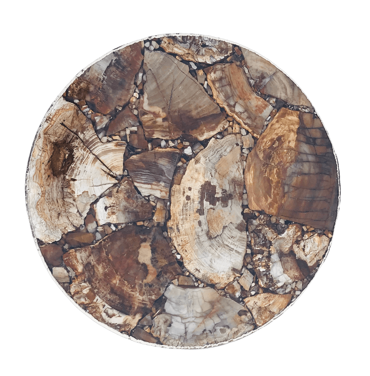 Petrified Wood Agate Round Edge Side Coffee Table