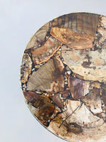 Petrified Wood Agate Round Edge Side Coffee Table