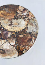 Petrified Wood Agate Round Edge Side Coffee Table