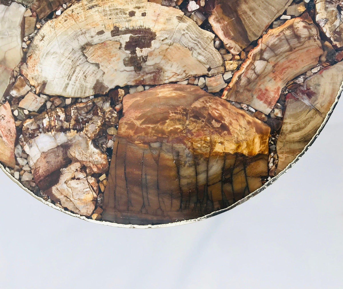 Petrified Wood Agate Round Edge Side Coffee Table