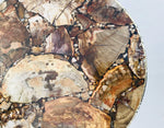 Petrified Wood Agate Round Edge Side Coffee Table