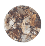 Petrified Wood Agate Round Edge Side Coffee Table