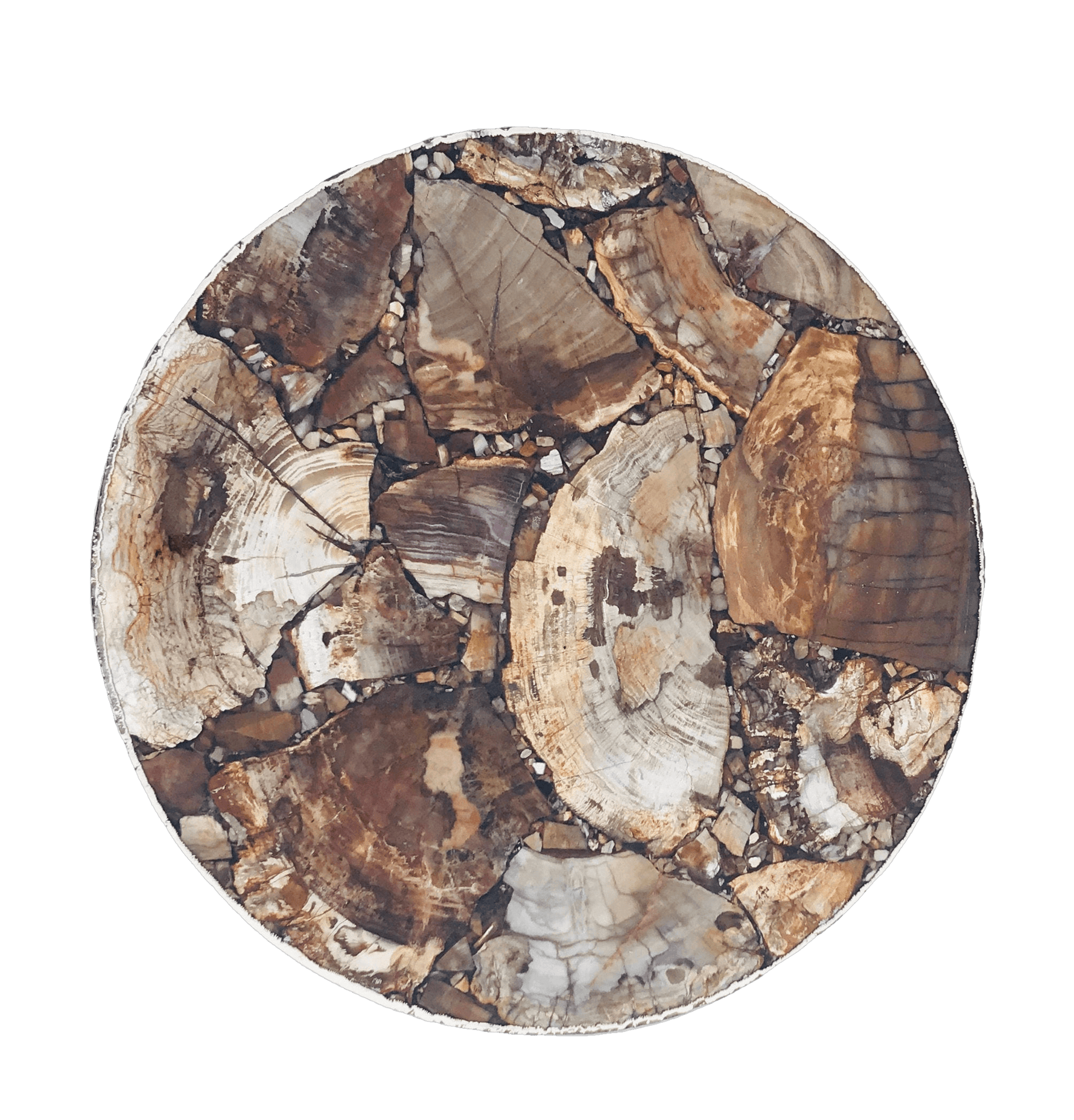 Petrified Wood Agate Round Edge Side Coffee Table