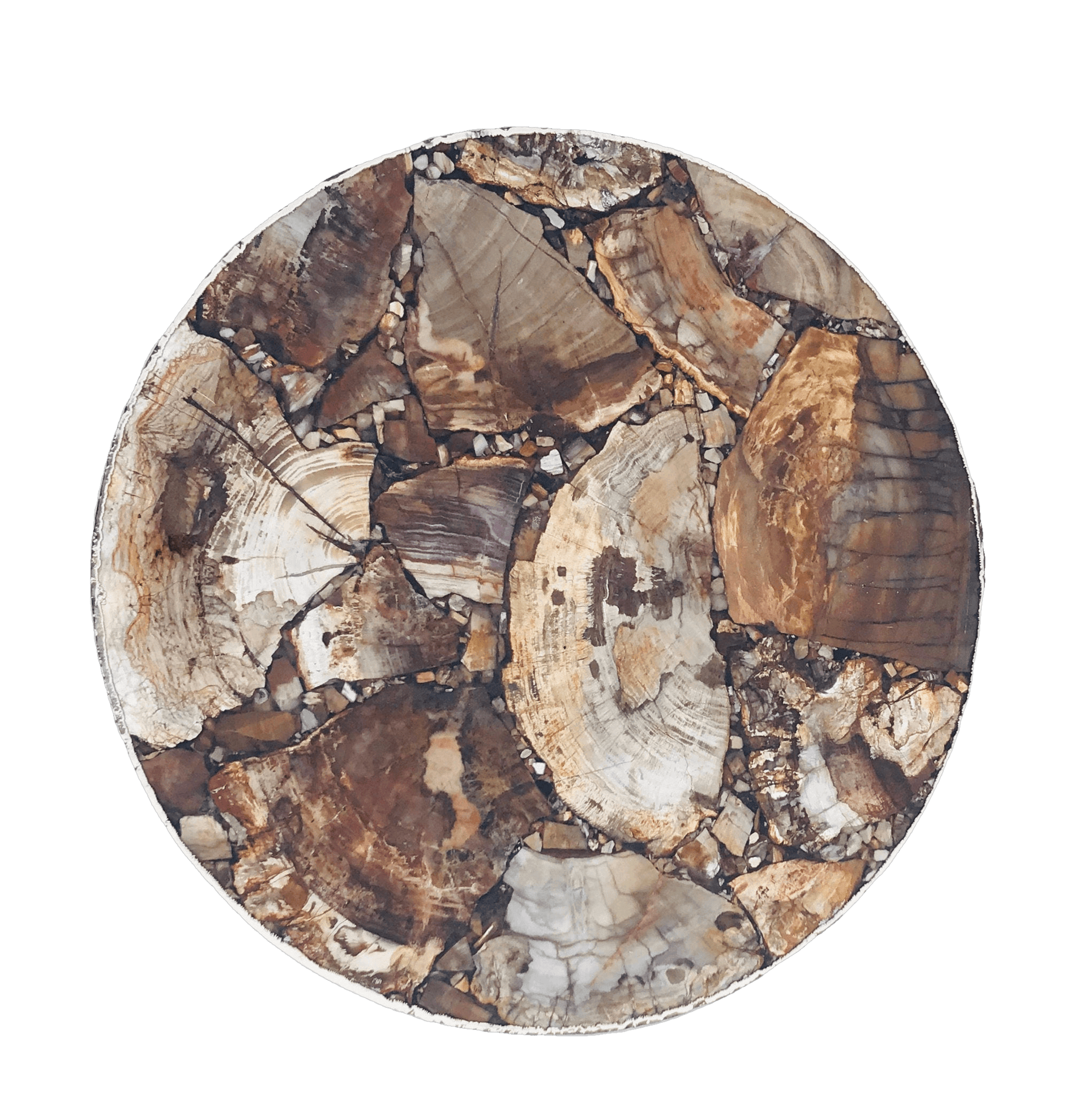 Petrified Wood Agate Round Edge Side Coffee Table - MAIA HOMES