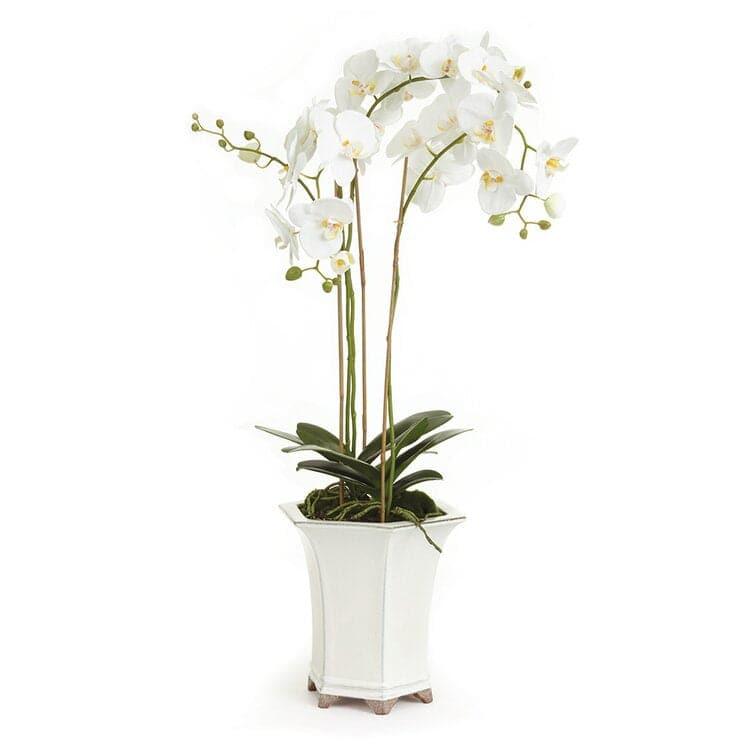 Phalaenopsis Floral Arrangement in Ceramic Pot Default Title