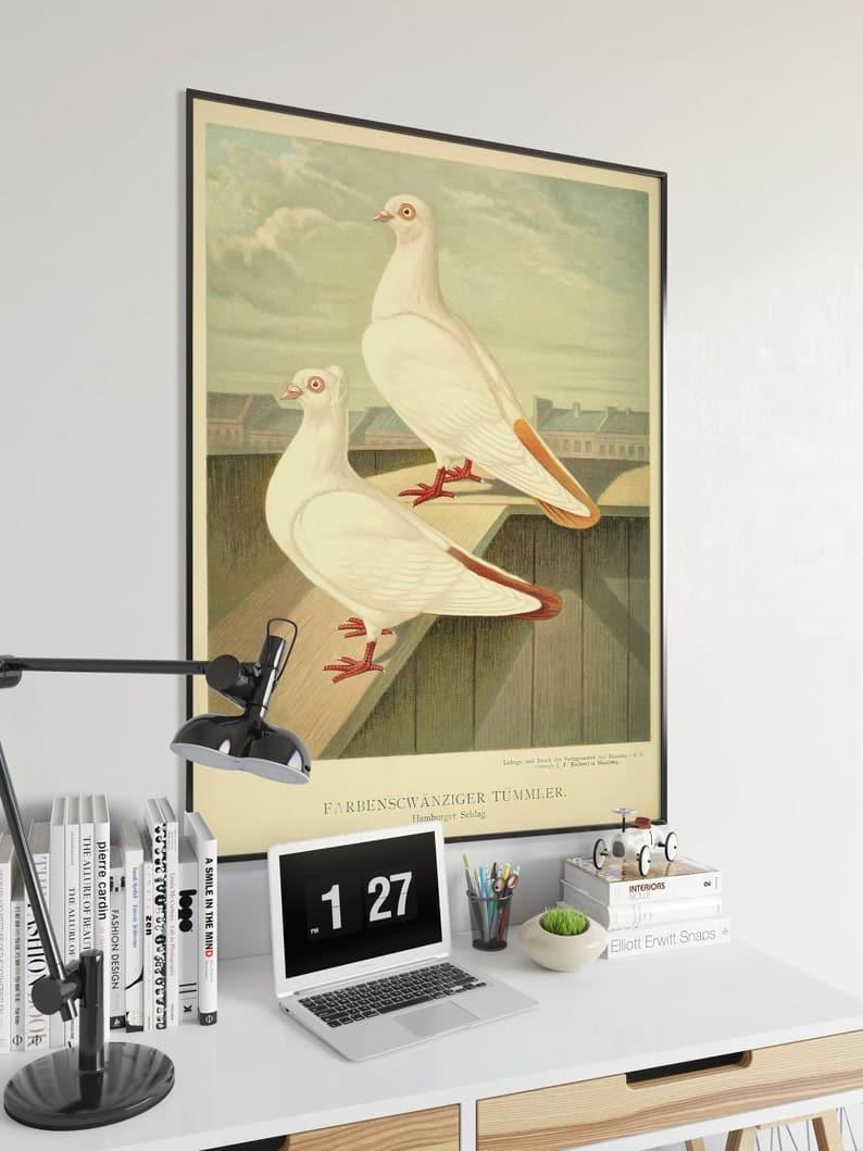 Pigeons Poster Print| Birds Poster