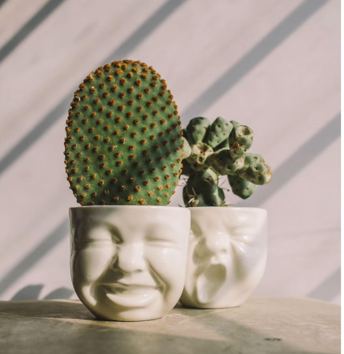 Porcelain Baby Faces Planters - Set of 3 - MAIA HOMES