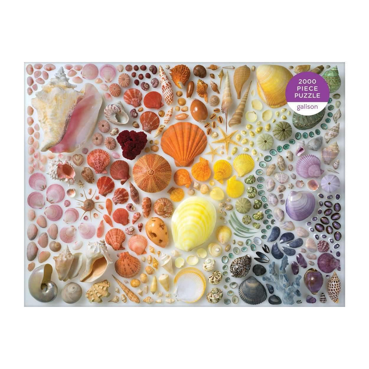 Rainbow Seashells 2000 Piece Jigsaw Puzzle