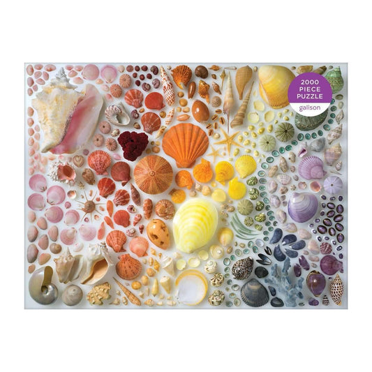 Rainbow Seashells 2000 Piece Jigsaw Puzzle - MAIA HOMES