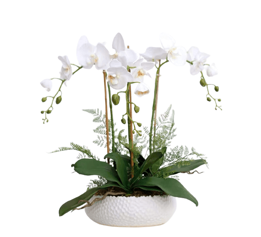 Real Touch 3 Stems White Phalaenopsis Arrangement in a White Ceramic Pot