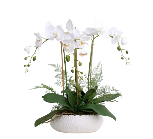 Real Touch 3 Stems White Phalaenopsis Arrangement in a White Ceramic Pot - MAIA HOMES