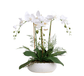 Real Touch 3 Stems White Phalaenopsis Arrangement in a White Ceramic Pot - MAIA HOMES