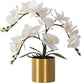 Realistic Orchid with Gold Pot - MAIA HOMES