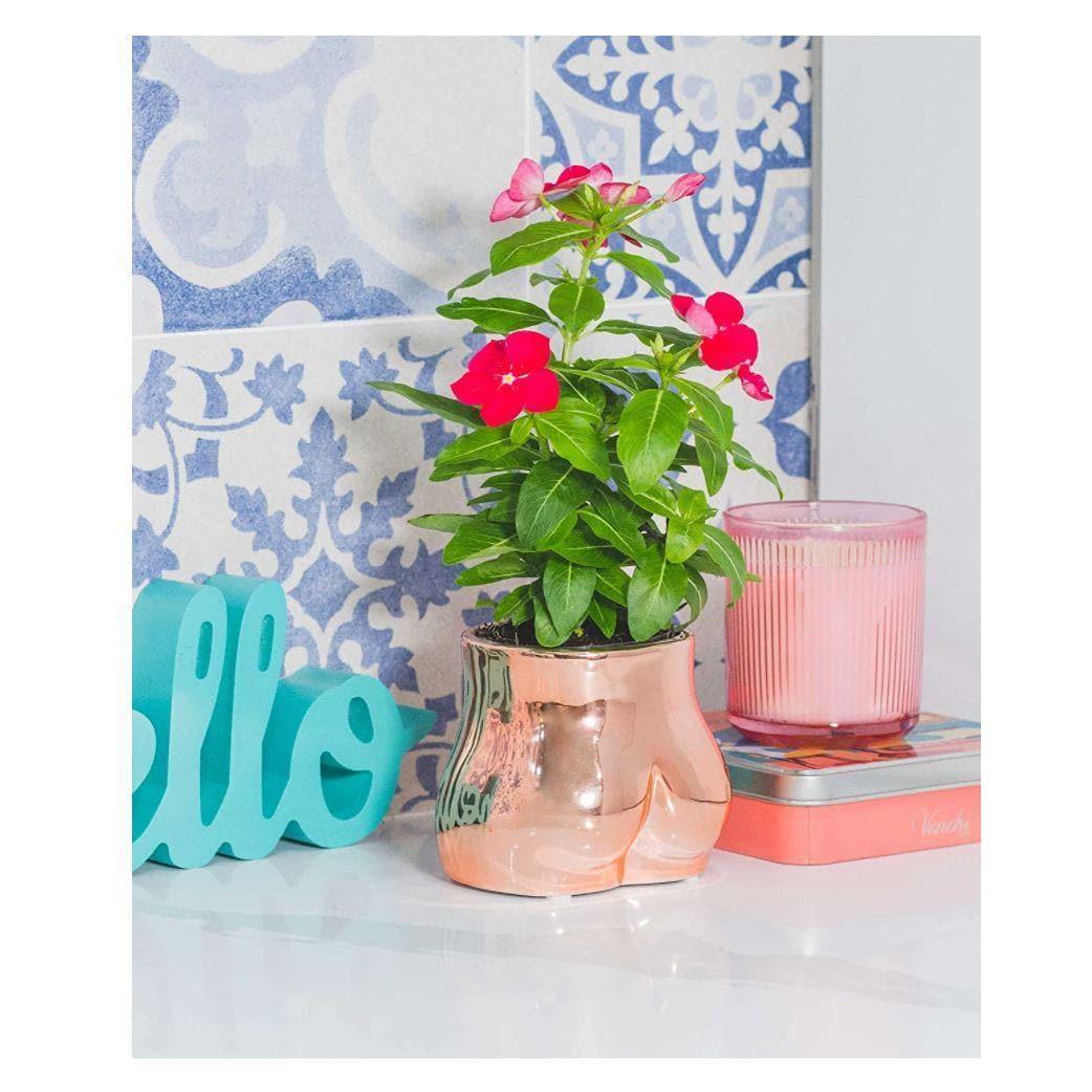 Rose Gold Lady Button Vase - MAIA HOMES