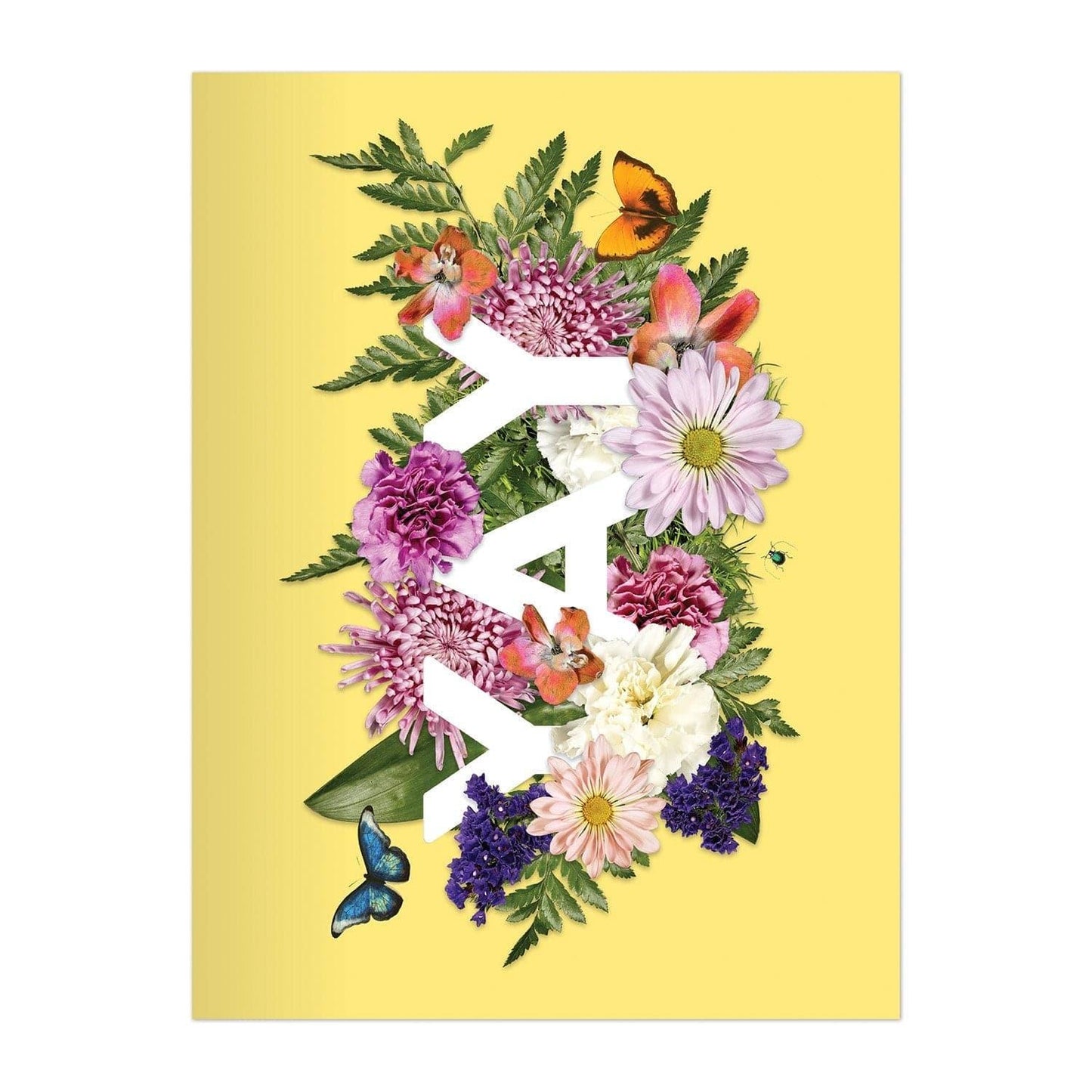 Say It With Flowers Greeting Assortment Notecard Box