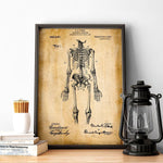 Skeleton Anatomy Wall Poster Print