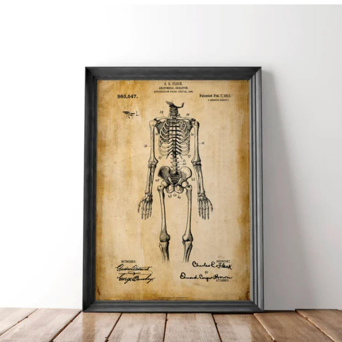 Skeleton Anatomy Wall Poster Print