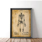 Skeleton Anatomy Wall Poster Print - MAIA HOMES