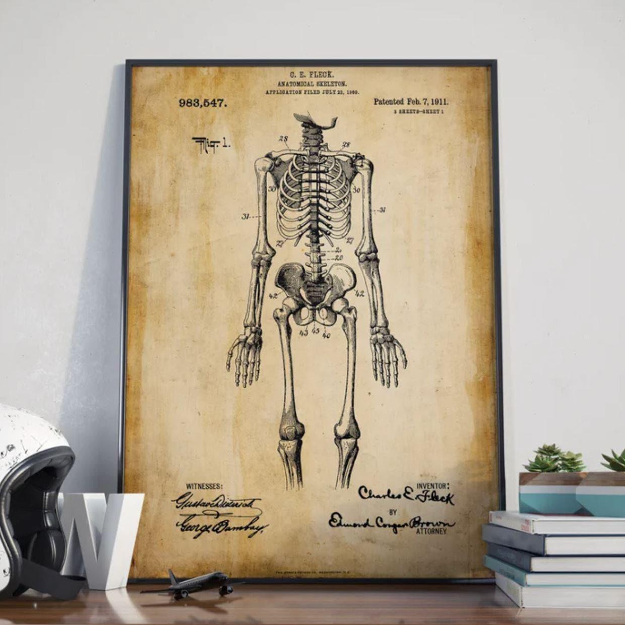 Skeleton Anatomy Wall Poster Print - MAIA HOMES