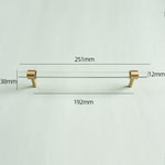 Sleek Acrylic Cabinet Drawer Pull with Brass Handle