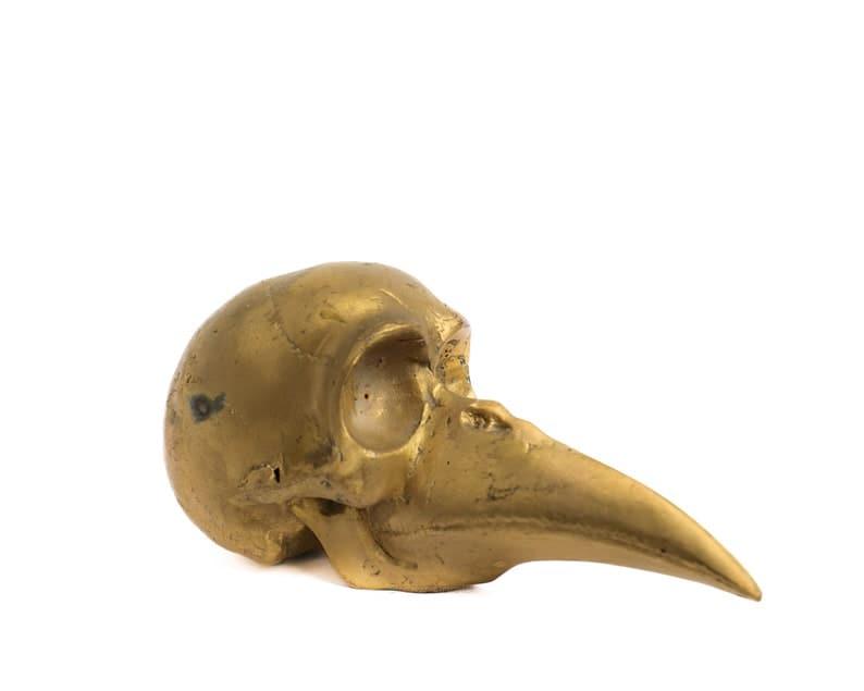 Solid Brass Bird Skull Figurine