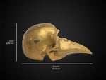 Solid Brass Bird Skull Figurine