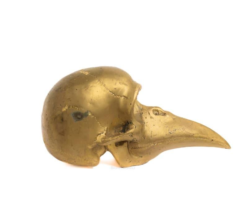 Solid Brass Bird Skull Figurine