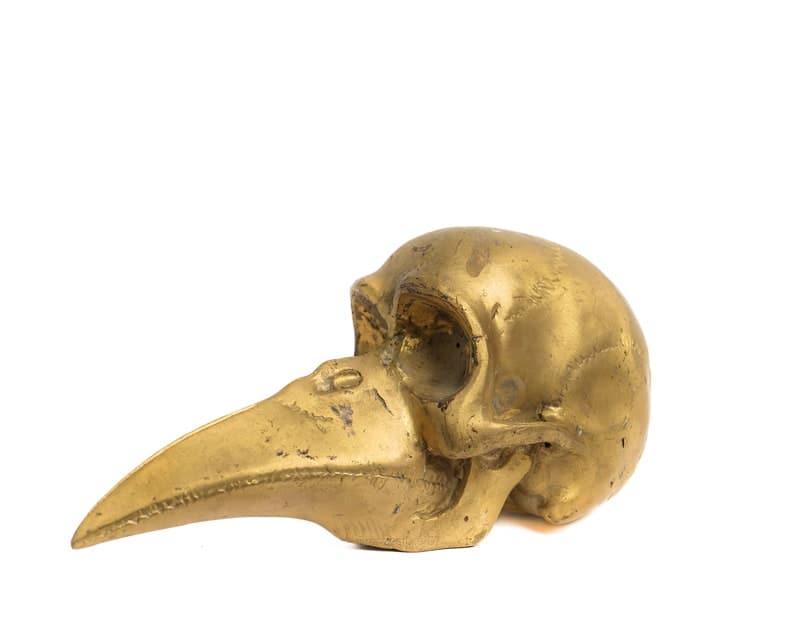 Solid Brass Bird Skull Figurine - MAIA HOMES