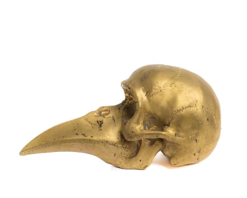 Solid Brass Bird Skull Figurine