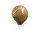 Solid Brass Clam Shell Shaped Wall Hanging Hook - MAIA HOMES