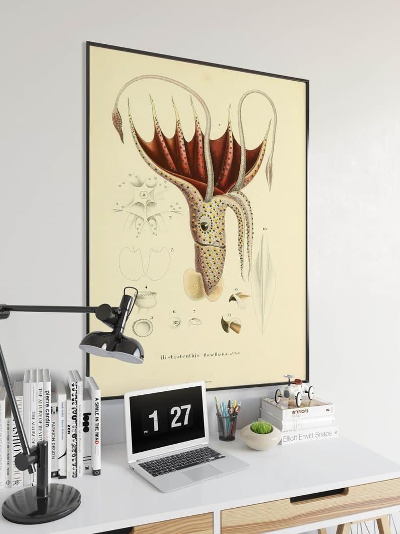 Squid Poster Print| Sea Life Art