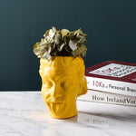 Sticking Tongue Einstein Succulent Vase