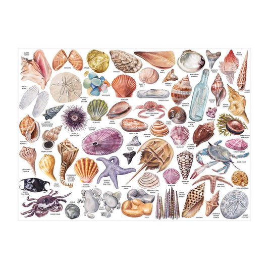 The Beachcomber's Companion 1000 Piece Jigsaw Puzzle With Shaped Pieces - MAIA HOMES