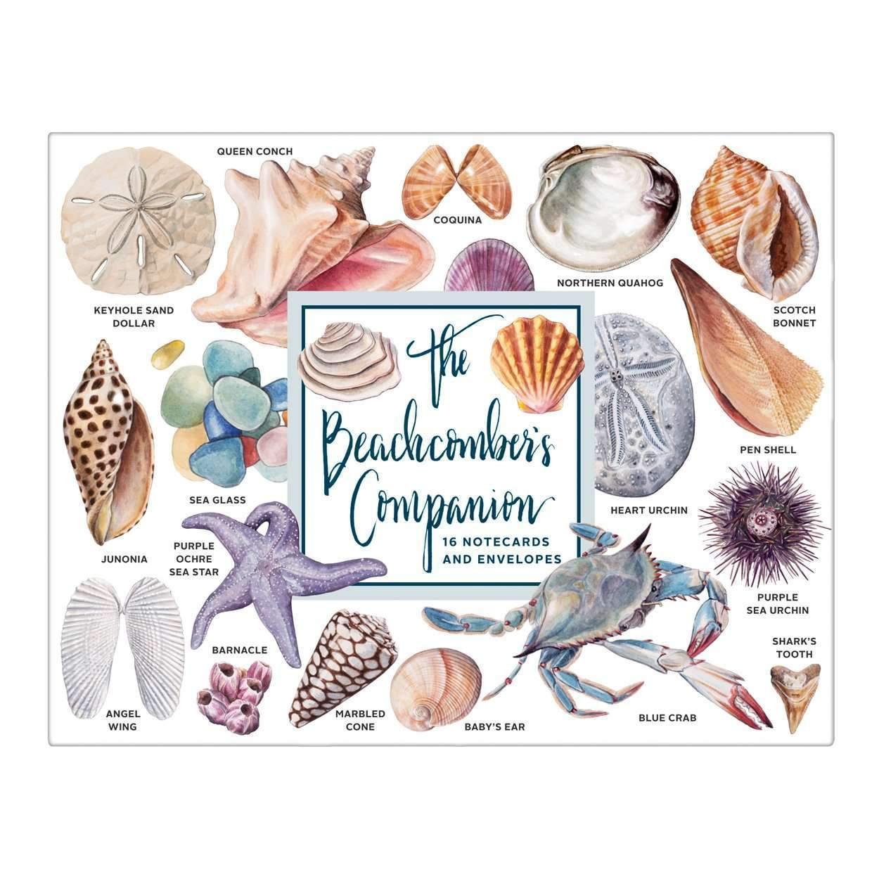 The Beachcomber's Companion Greeting Assortment Notecards