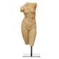 The Old Day Plastered Female Body Figurine on Metal Stand - MAIA HOMES