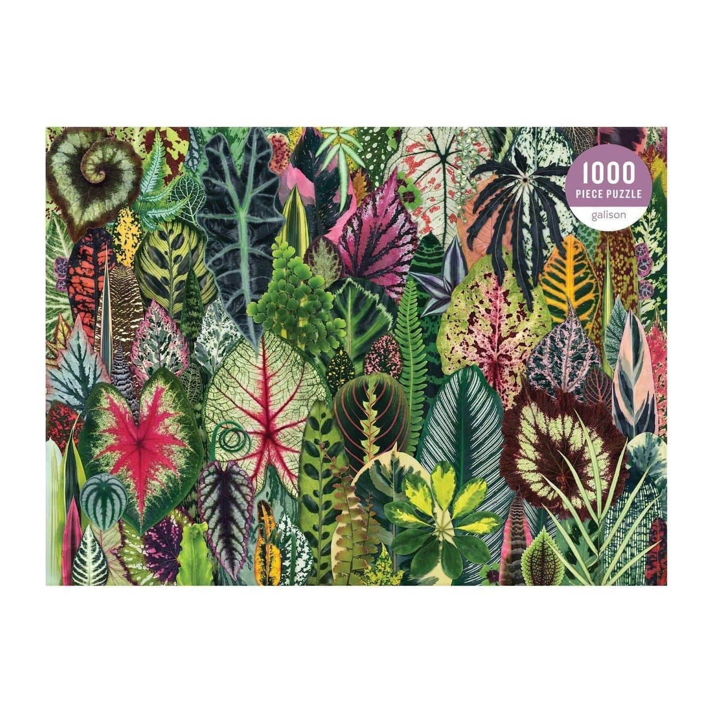 Troy Litten Houseplant Jungle 1000 Piece Jigsaw Puzzle