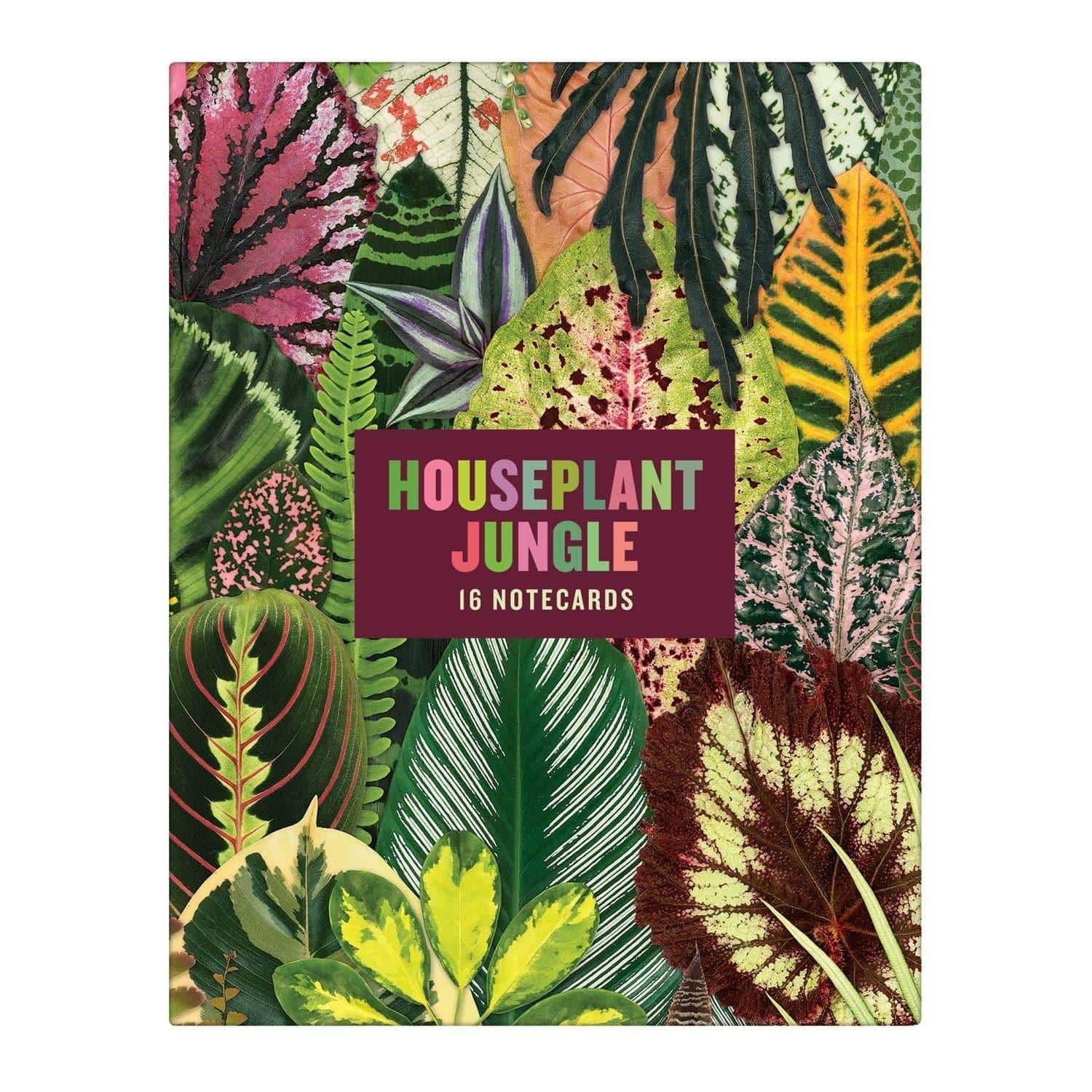 Troy Litten Houseplant Jungle Greeting Assortment Notecards