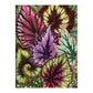 Troy Litten Houseplant Jungle Greeting Assortment Notecards - MAIA HOMES