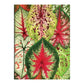 Troy Litten Houseplant Jungle Greeting Assortment Notecards - MAIA HOMES